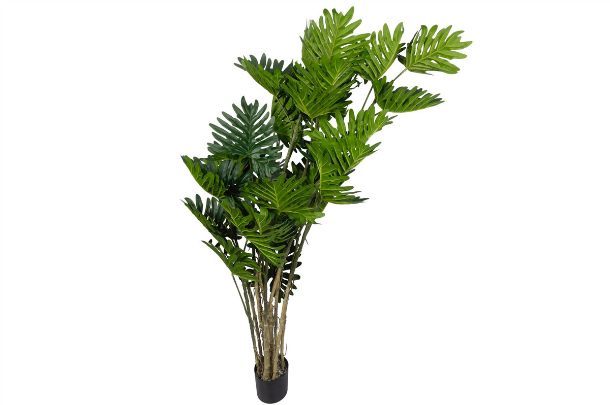 Mikasa Moor Philodendron Yapay Ağaç 190cm