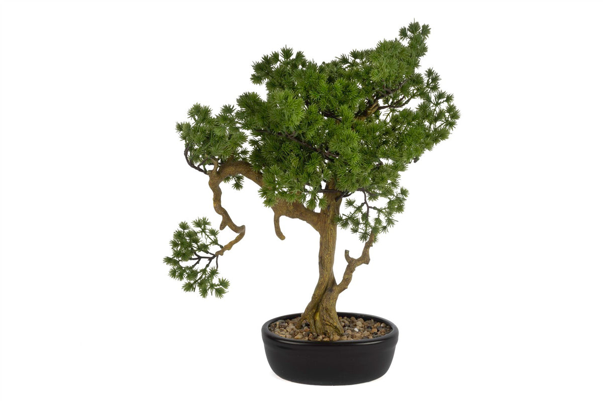 Mikasa Moor Pine Tree Bonsai Yapay Ağaç 40x45cm
