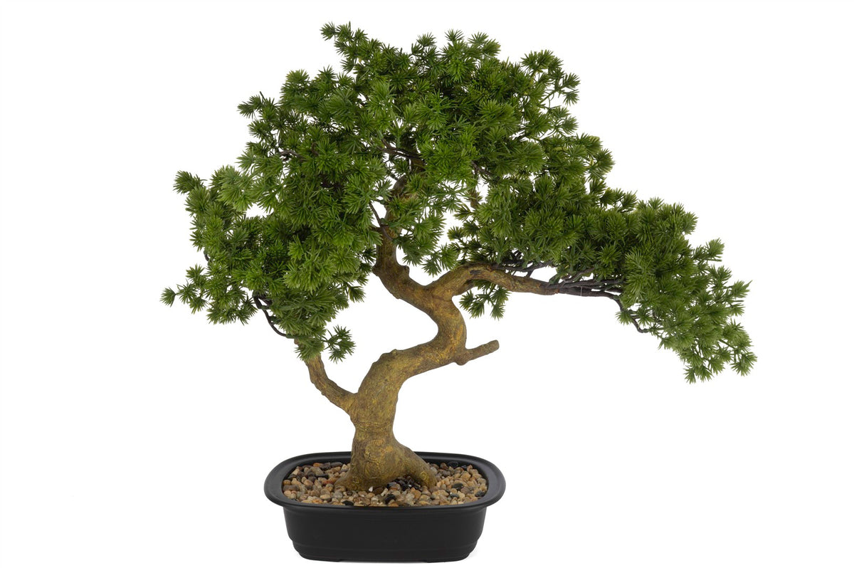 Mikasa Moor Pine Tree Bonsai Yapay Ağaç 20x45cm