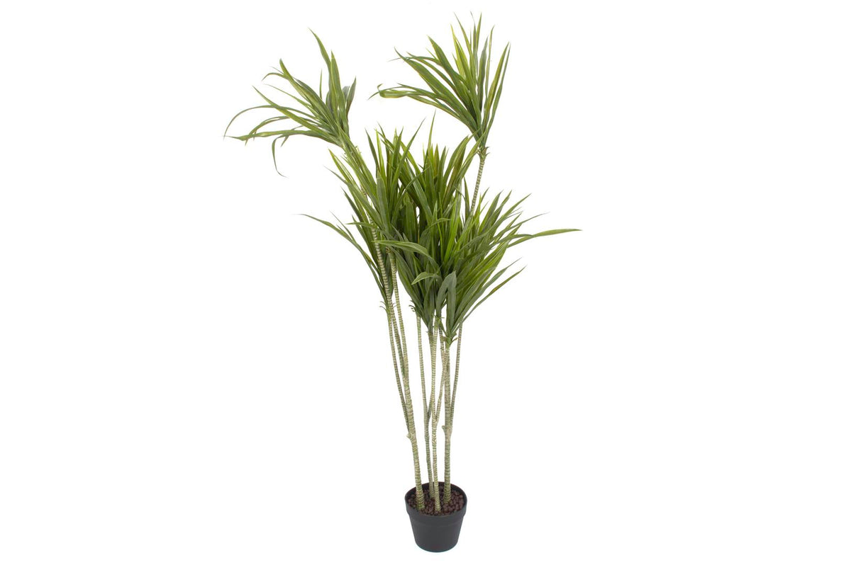 Mikasa Moor Sago Palm Yapay Ağaç 150cm