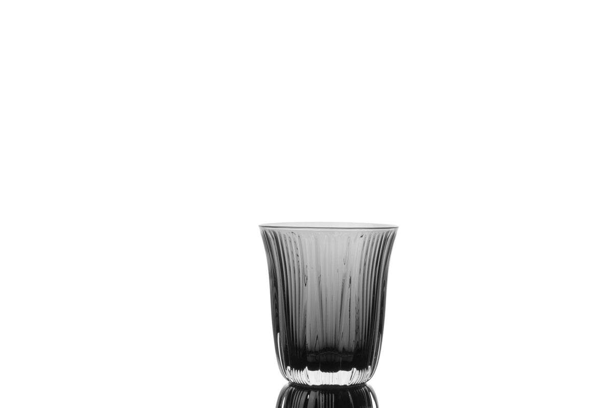 Mikasa Moor Noble 6lı Su Bardağı