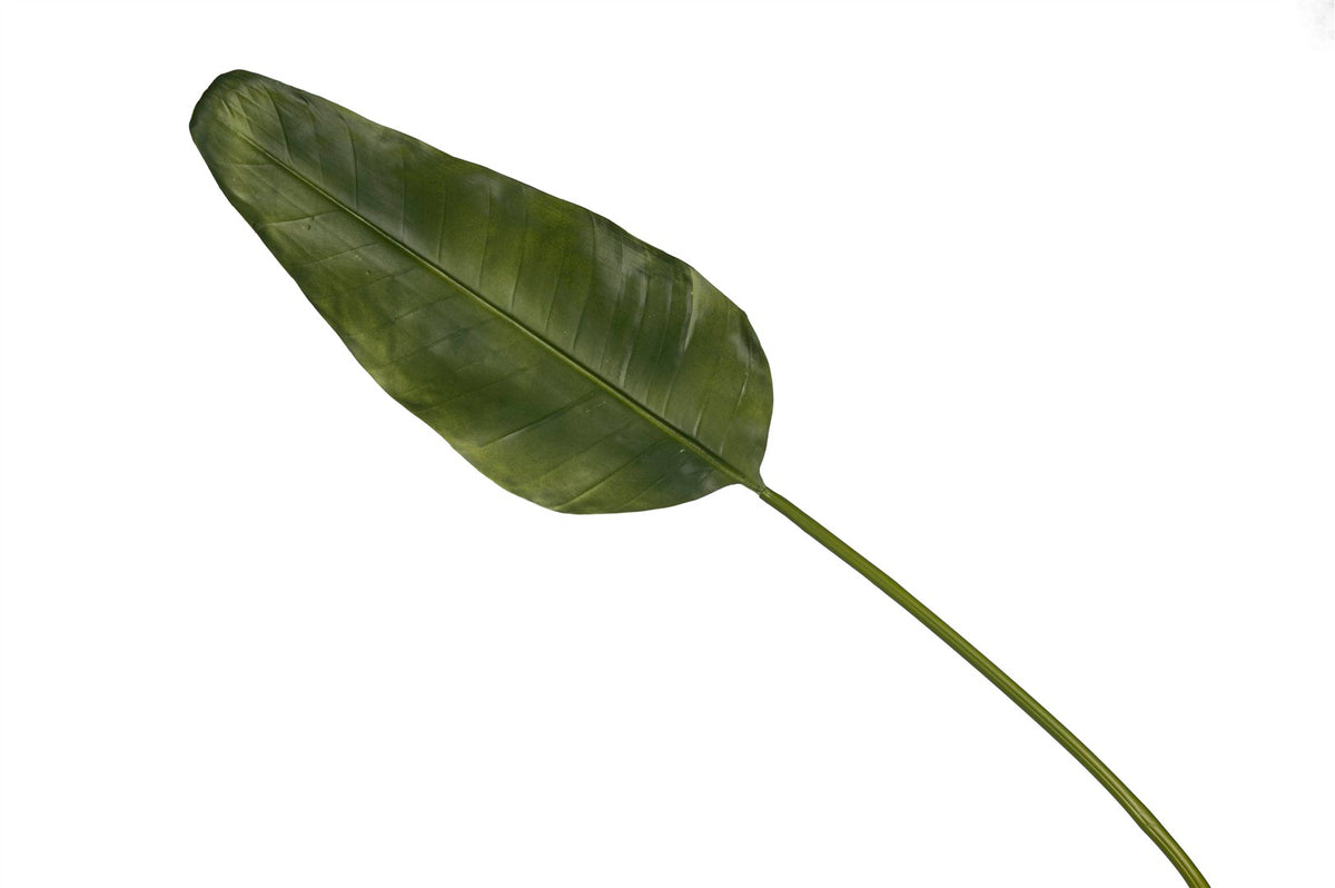 Mikasa Moor Yeşil Uzun Yaprak 115cm