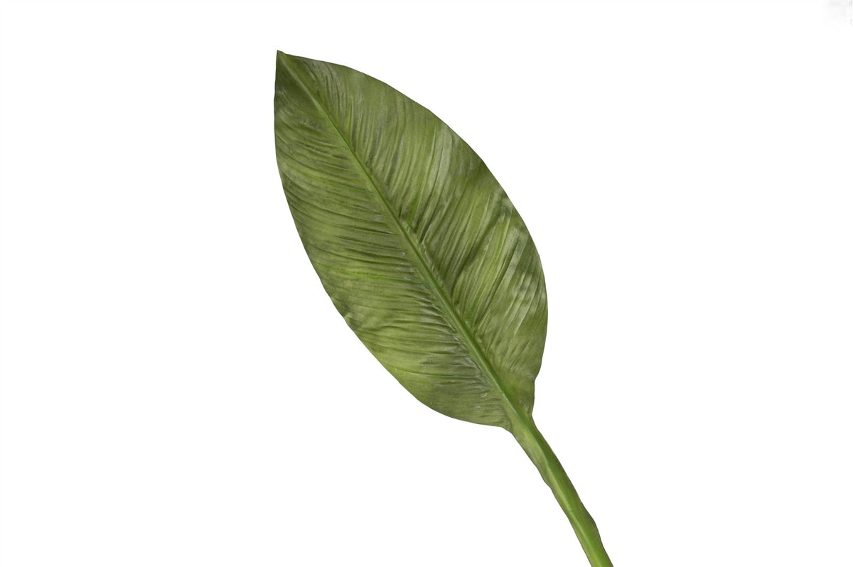 Mikasa Moor Yeşil Starliçe Yaprak 86cm