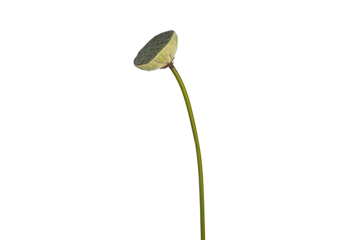 Mikasa Moor Lotus Tomurcukları Yapay Çiçek 76cm