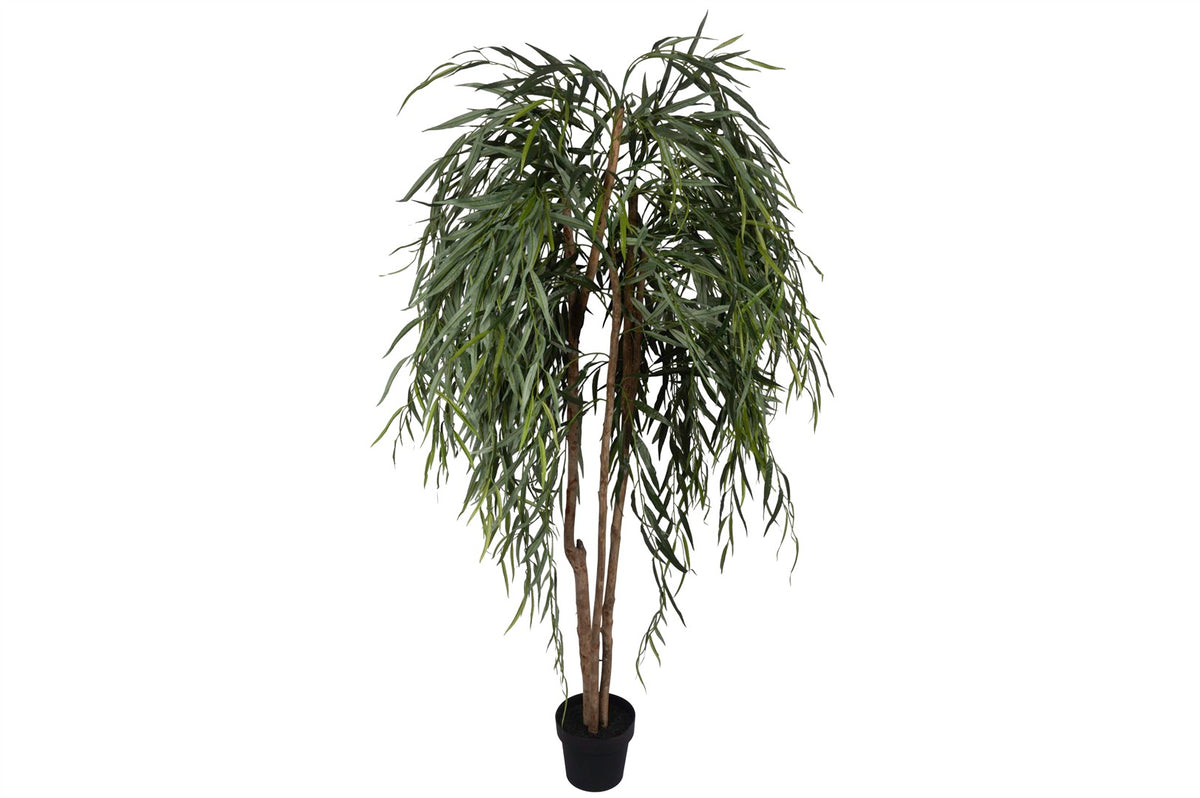 Mikasa Moor New Willow Yapay Ağaç 180cm
