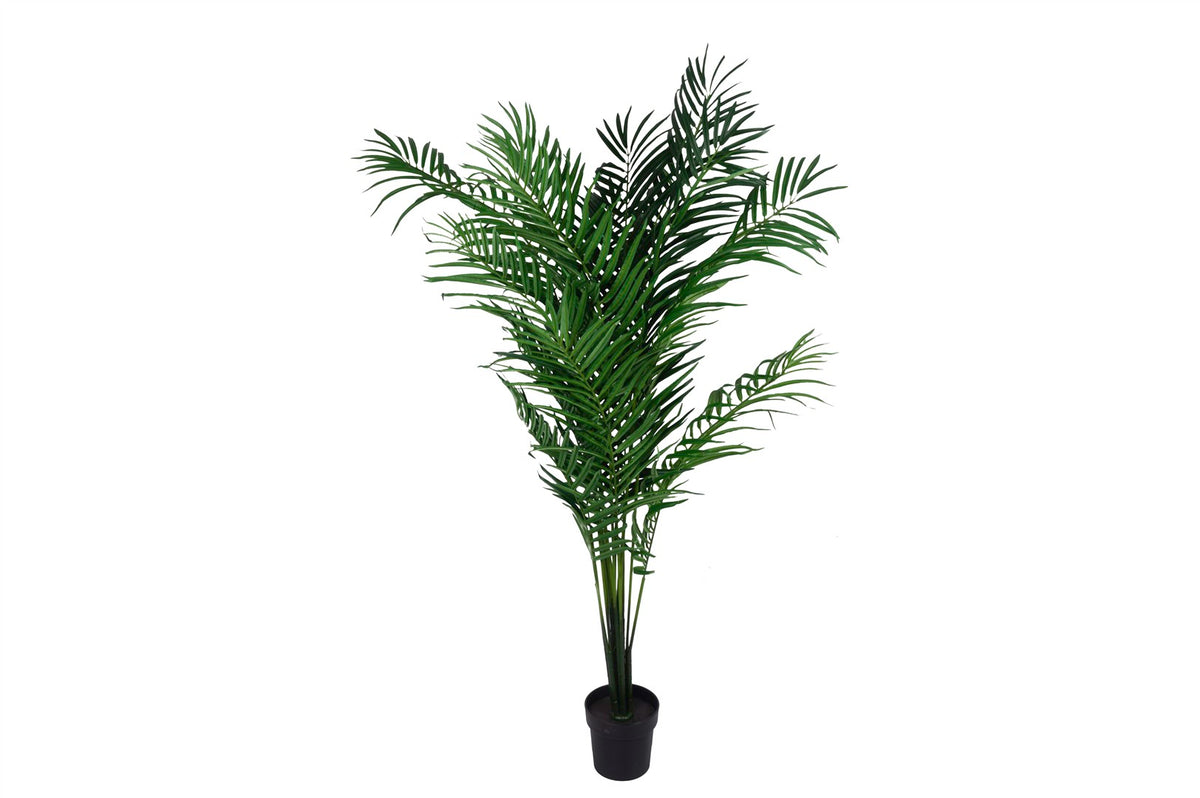Mikasa Moor Palm Yapay Ağaç 194cm
