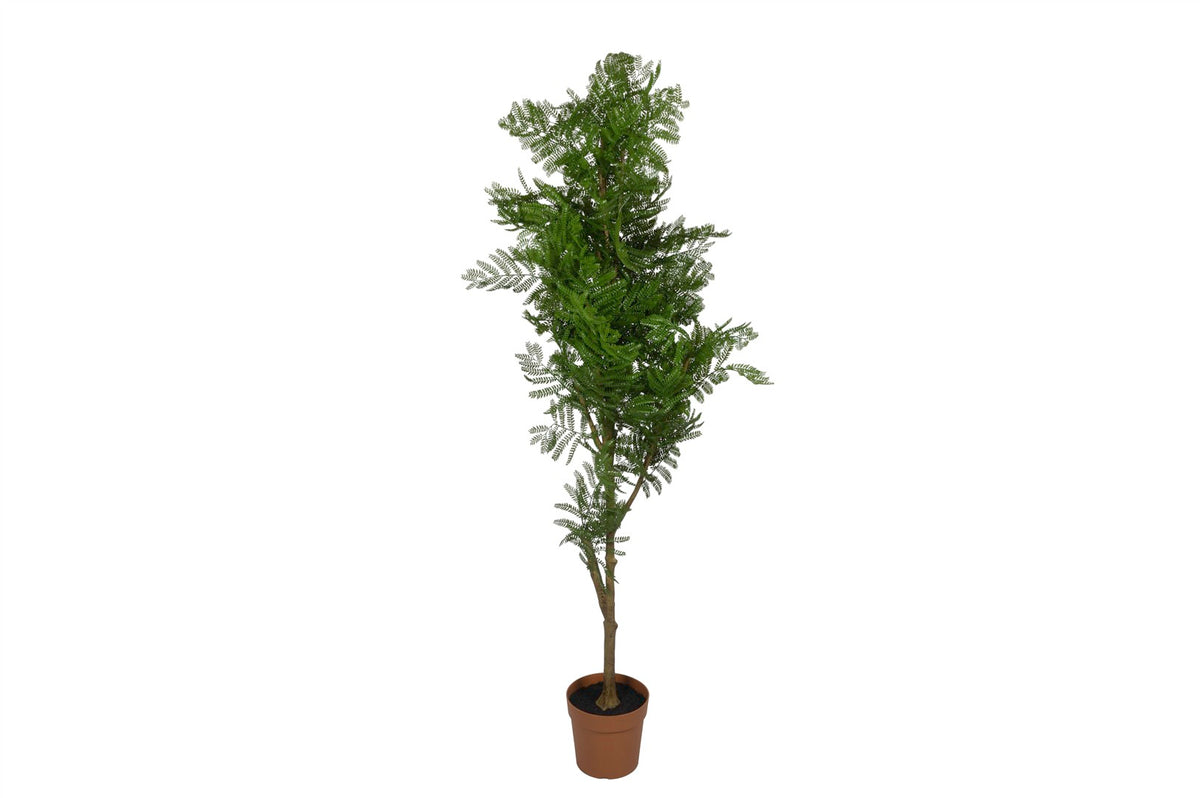 Mikasa Moor Jacaranda Yapay Ağaç 183cm