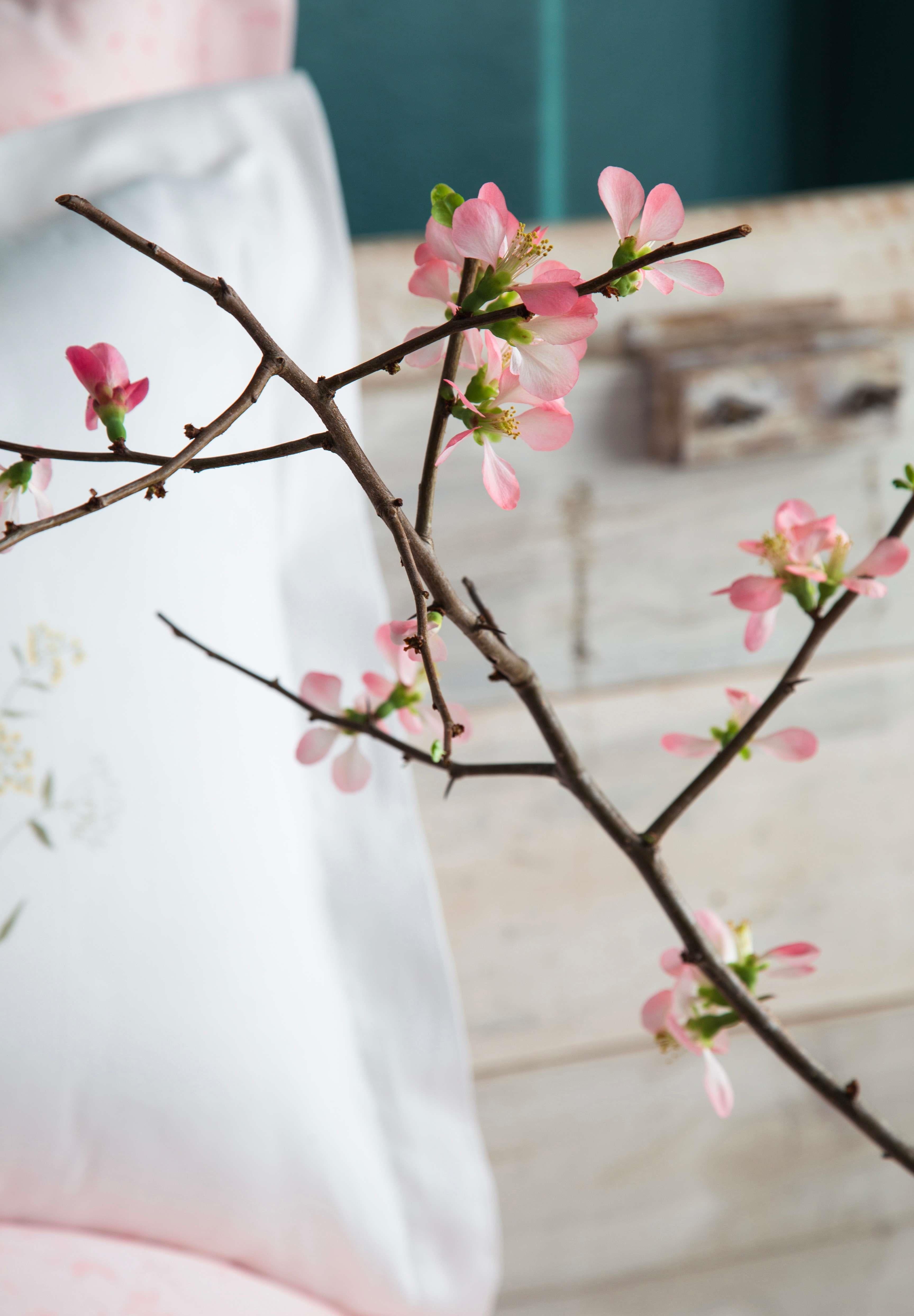 Apricitas Home Windflower Tencell Baskılı Çift Kişilik Nevresim Takımı